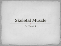 6. Musle.pdf